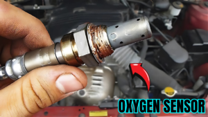 Oxygen Sensor