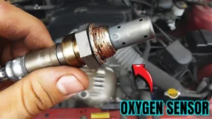 Oxygen Sensor